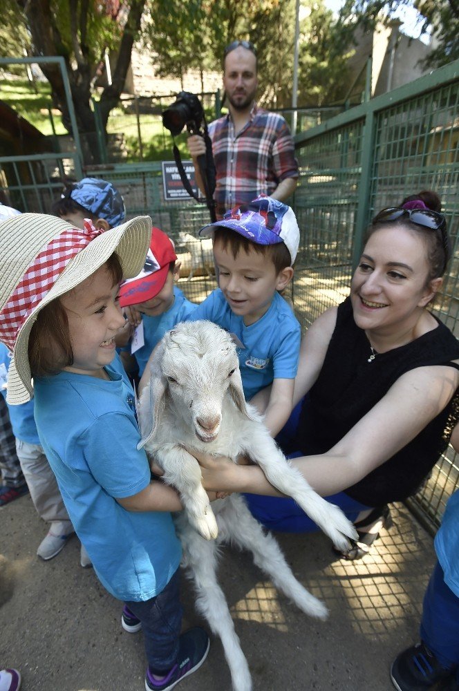 Keçiören Evcil Hayvanlar Parkı ziyaretçilerini bekliyor