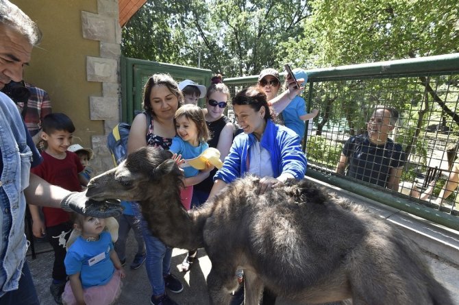 Keçiören Evcil Hayvanlar Parkı ziyaretçilerini bekliyor