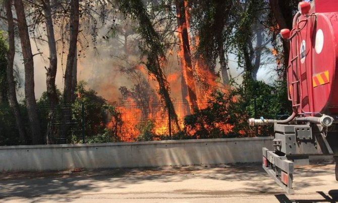 Antalya’da 5 dönümlük orman yandı