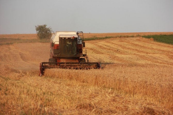 Çiftçilerin bayram mesaisi ‘buğday’ hasadı