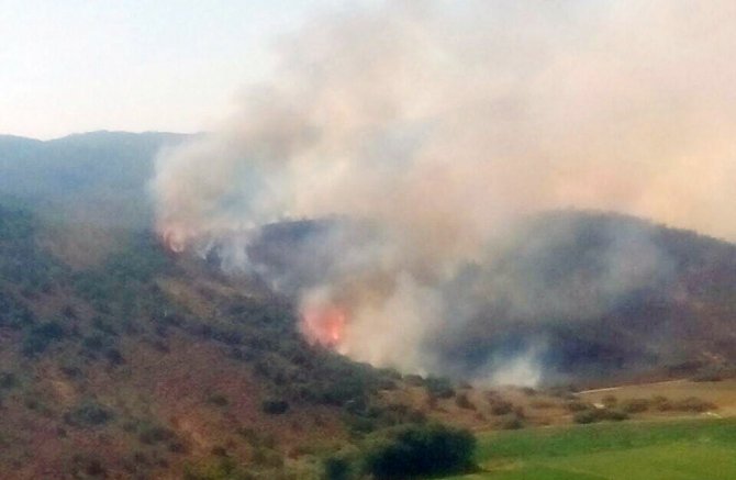 Milas’ta ziraat alanında başlayan yangın ormanı yaktı