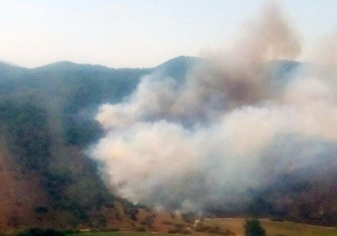 Milas’ta ziraat alanında başlayan yangın ormanı yaktı