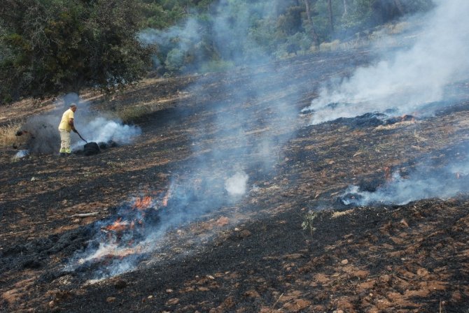 Çanakkale’de arazi yangını