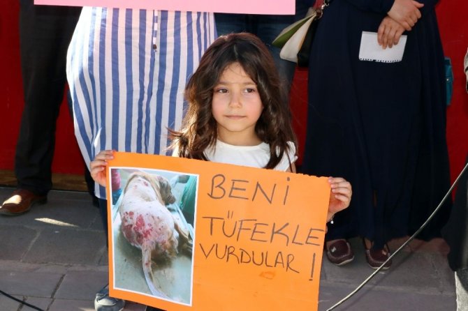 Yozgat’ta hayvan severler yeni yasa tasarısını protesto etti