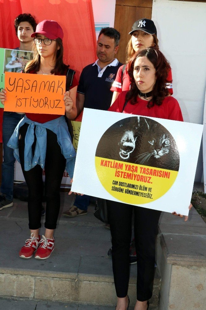 Yozgat’ta hayvan severler yeni yasa tasarısını protesto etti