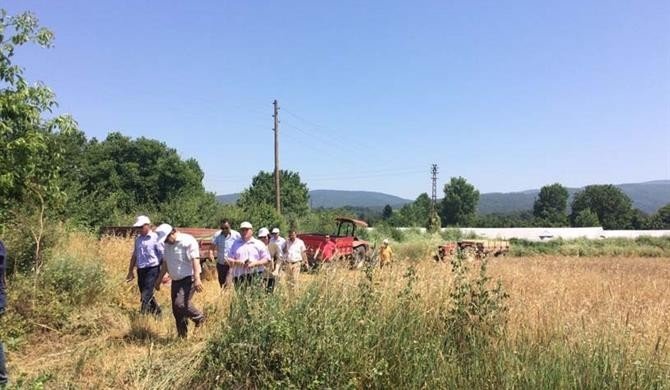 Çan Karakoca köyünde Arpa Tarla Günü yapıldı