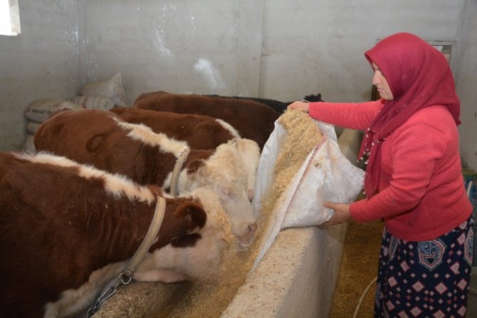 Genç Çiftçi Projesi’ne kadın eli