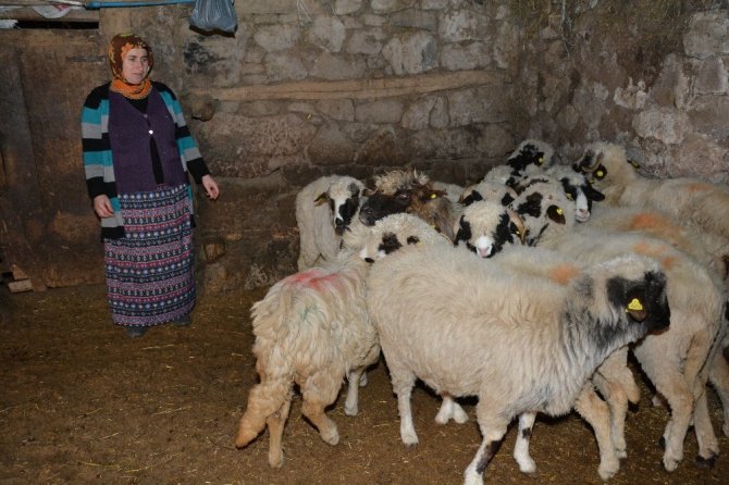 Genç Çiftçi Projesi’ne kadın eli