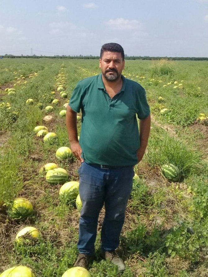 Ürünleri sıcaktan yanan çiftçi destek bekliyor