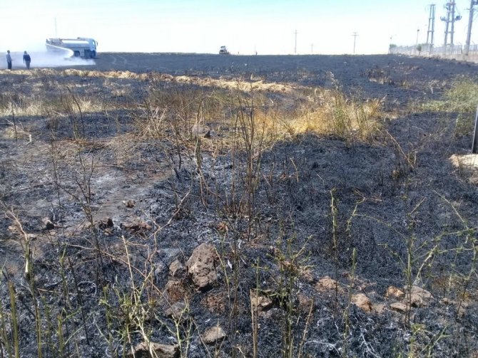 Anız yangınında 76 elektrik direği yandı