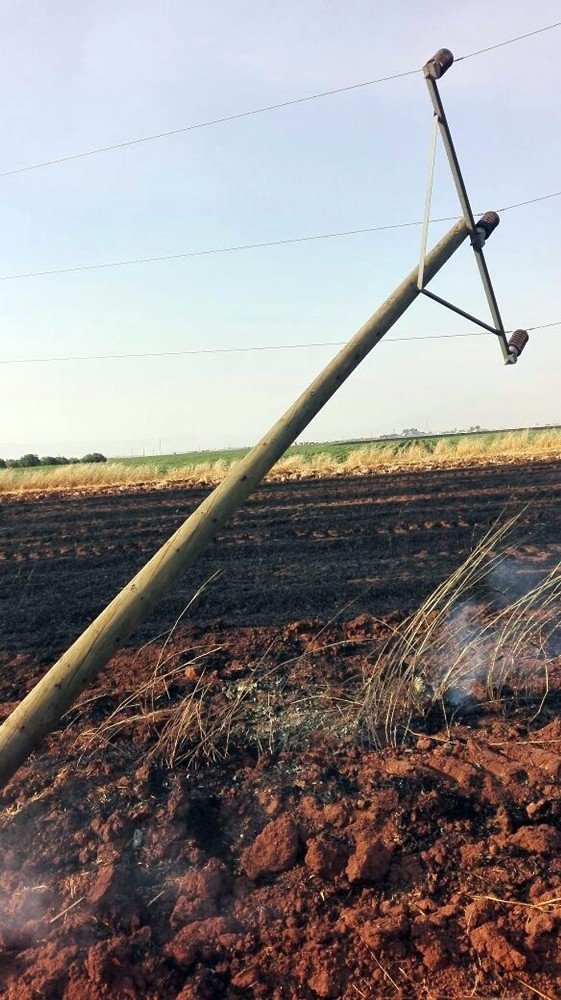 Anız yangınında 76 elektrik direği yandı