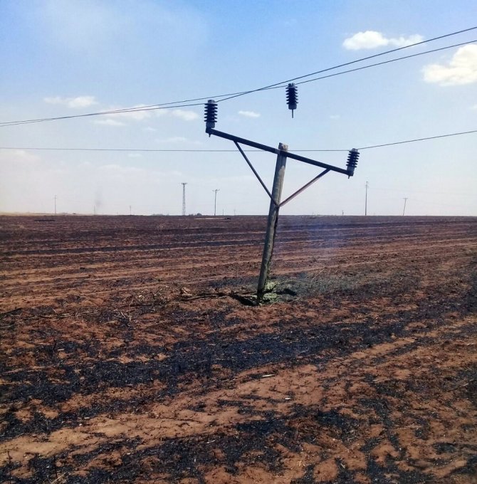 Anız yangınında 76 elektrik direği yandı