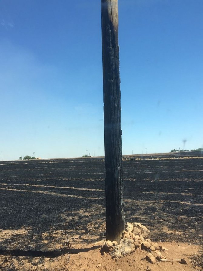 Anız yangınında 76 elektrik direği yandı