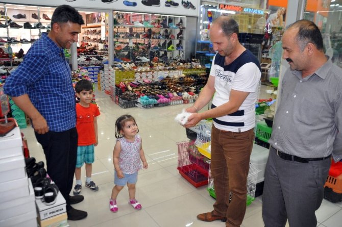 Adı domuz domuz değil, sincaba benziyor sincap değil