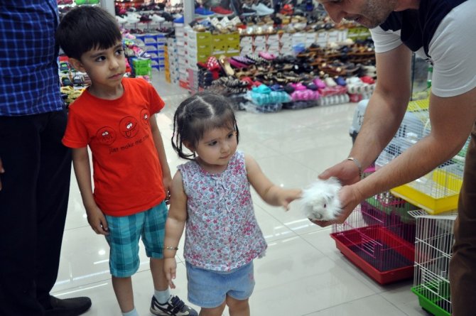 Adı domuz domuz değil, sincaba benziyor sincap değil