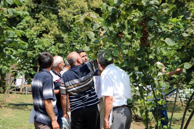 Ferrero Fındık yetkilileri üretici ile bir araya gelerek bahçe günleri yapıyor