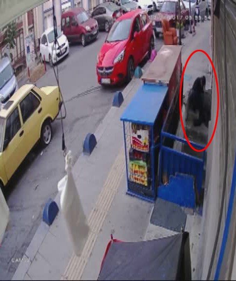 Şişli’de 15 dakikada 2 evi soyan hırsızlar kamerada