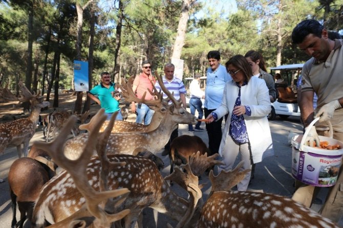 Gaziantep Hayvanat Bahçesi, doğurganlık oranıyla Avrupa’da birincisi