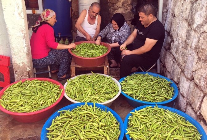 Midyat turşusu Ege turşusuna meydan okuyor