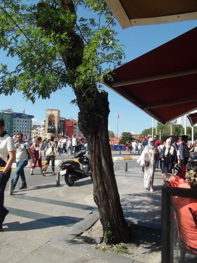 Taksim’de sevimli kumru yavrularına yoğun ilgi