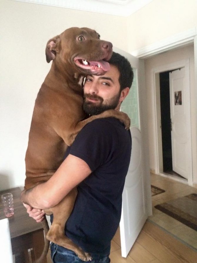 Altın Elbiseli Adam’ın hayatını kaybettiği kazada broker Buğra Erdem de can verdi