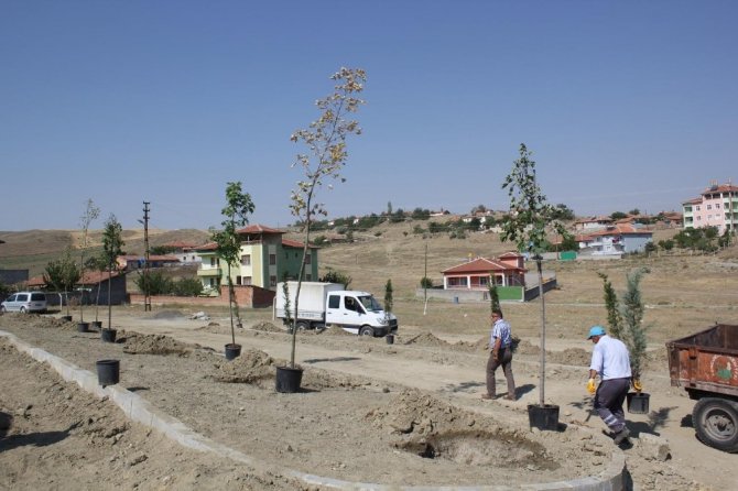 Sungurlu belediyesi 920 fidanı toprakla buluşturdu