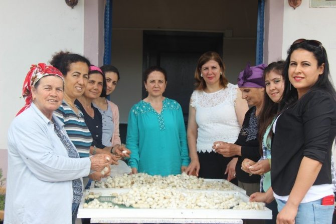 Samandağlı kadınların ‘İpek Köyü’nde diriliş öyküsü