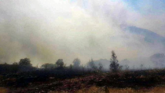 Ali Dağı’ndaki yangına Orman Bölge Müdürlüğü 49 personel ile müdahale etti