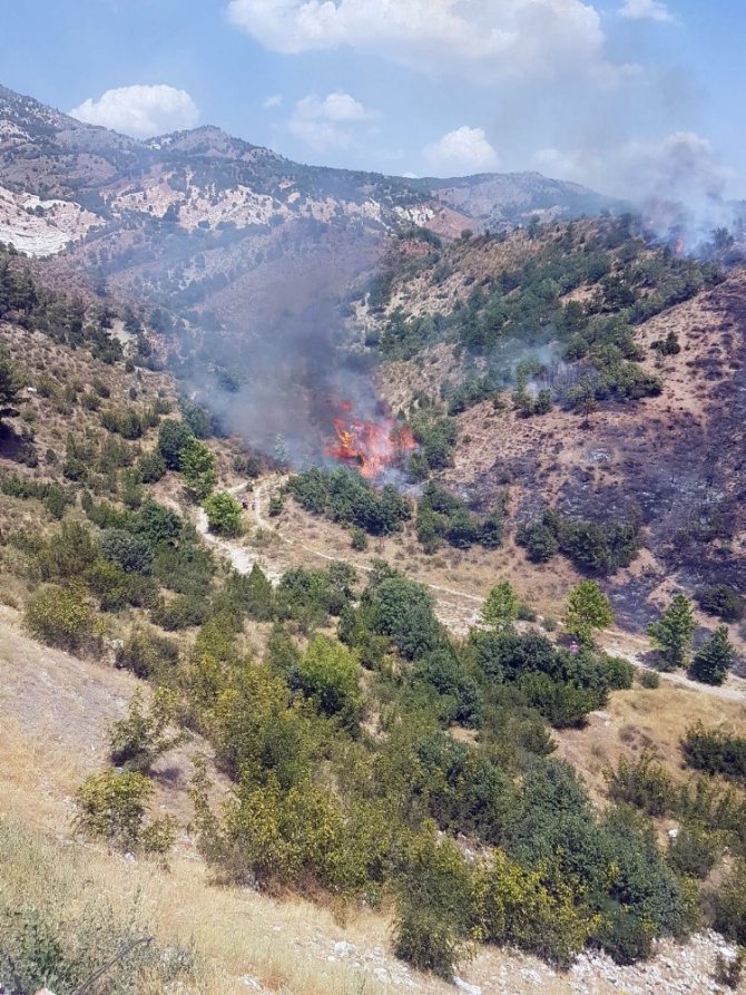 Ankara’da orman yangını