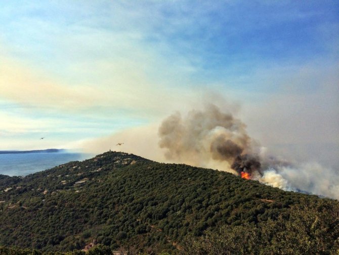 Fransa’da orman yangınları nedeniyle 12 bin kişi tahliye edildi