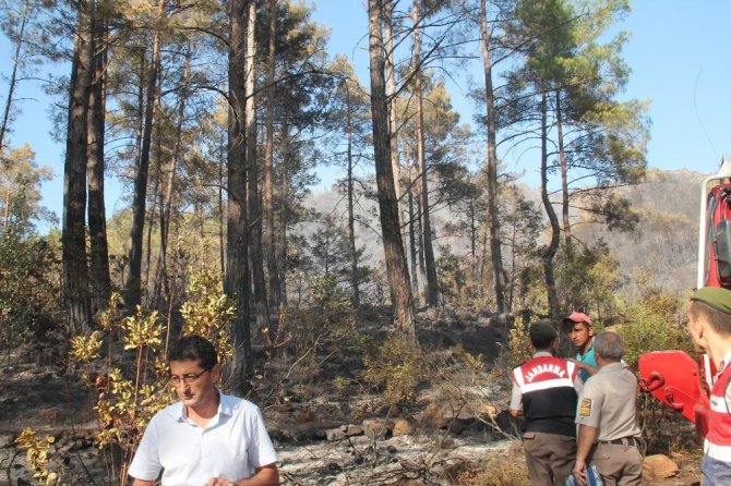 Marmaris’teki orman yangını söndürüldü