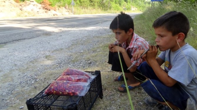 Okul harçlıklarını yol kenarında incir kiraz satarak çıkarıyorlar
