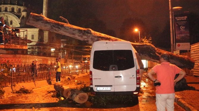 Şiddetli yağış dev ağacı turistleri taşıyan minibüsün üzerine devirdi