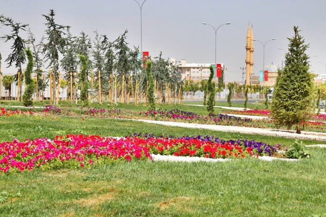Aksaray Belediyesi 3 yılda 185 bin 570 adet ağaç dikti