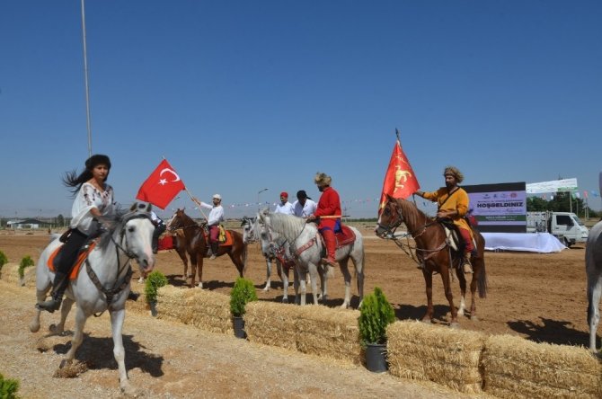 Atlı Okçuluk Türkiye Şampiyonası Malatya’da başladı