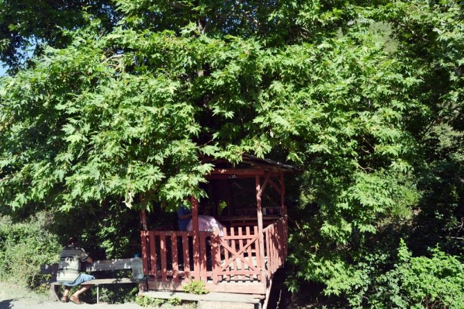 Doğayla baş başa tıraş keyfi