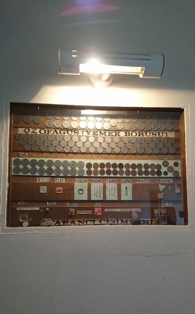 Hastanede bir garip sergi