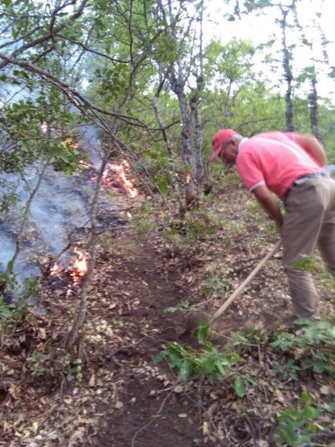 Tunceli’deki orman yangınları kontrol altına alındı
