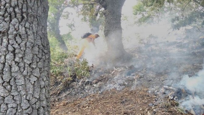 Tunceli’deki orman yangınları tamamen kontrol altına alındı