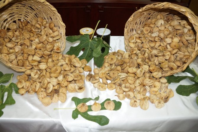 Aydın Ticaret Borsası yılın ilk kuru incirini kilosu 70 TL’den aldı