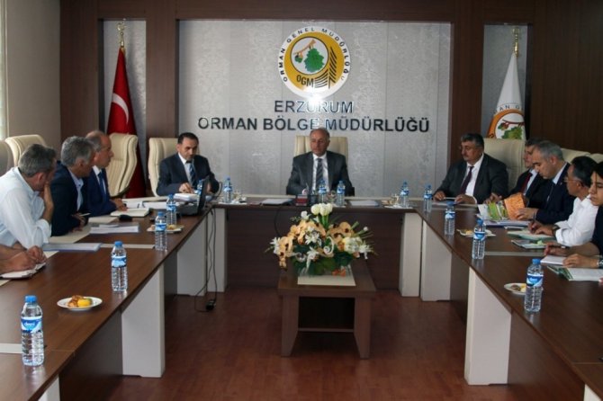 Vali Azizoğlu talimat verdi: “20 milyon ağaç dikeceğiz”