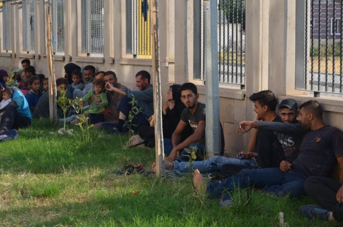 Hatay’da 80 kaçak göçmen yakalandı