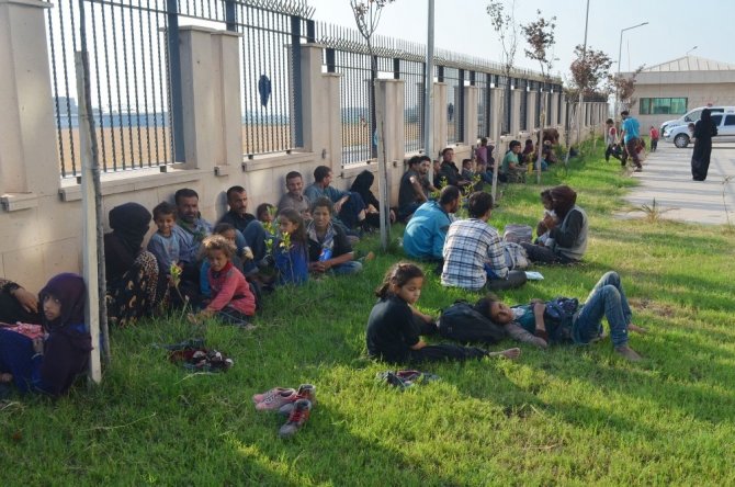 Hatay’da 80 kaçak göçmen yakalandı