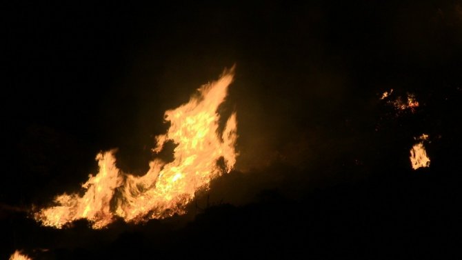Bodrum’da yangın