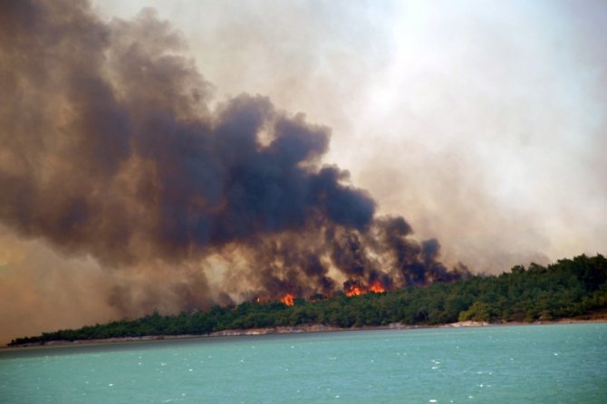 Ayvalık’taki orman yangınında sabotaj iddiası