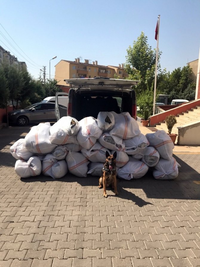 Diyarbakır’da 1 ton 151 kilo esrar ele geçirildi