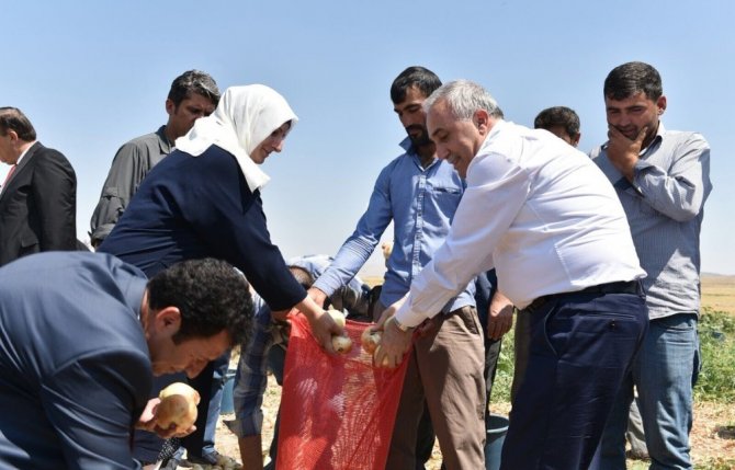 Bakan Fakıbaba, tarım işçileriyle birlikte soğan topladı