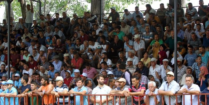 Seki Yağlı Güreşleri’ni İsmail Balaban kazandı