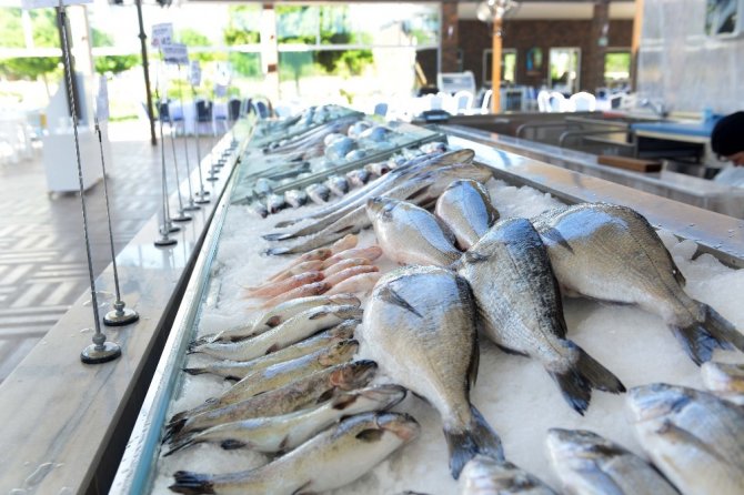 Türkiye’nin en büyük balık çarşısı Antalya’da açılıyor