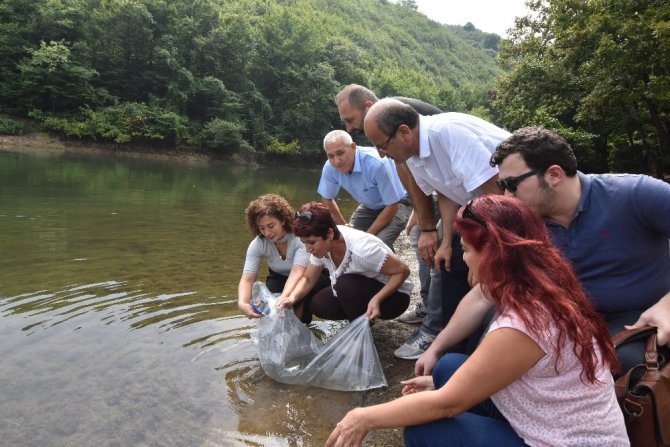 İstanbul’daki göletlere 111 bin yavru sazan balığı bırakıldı